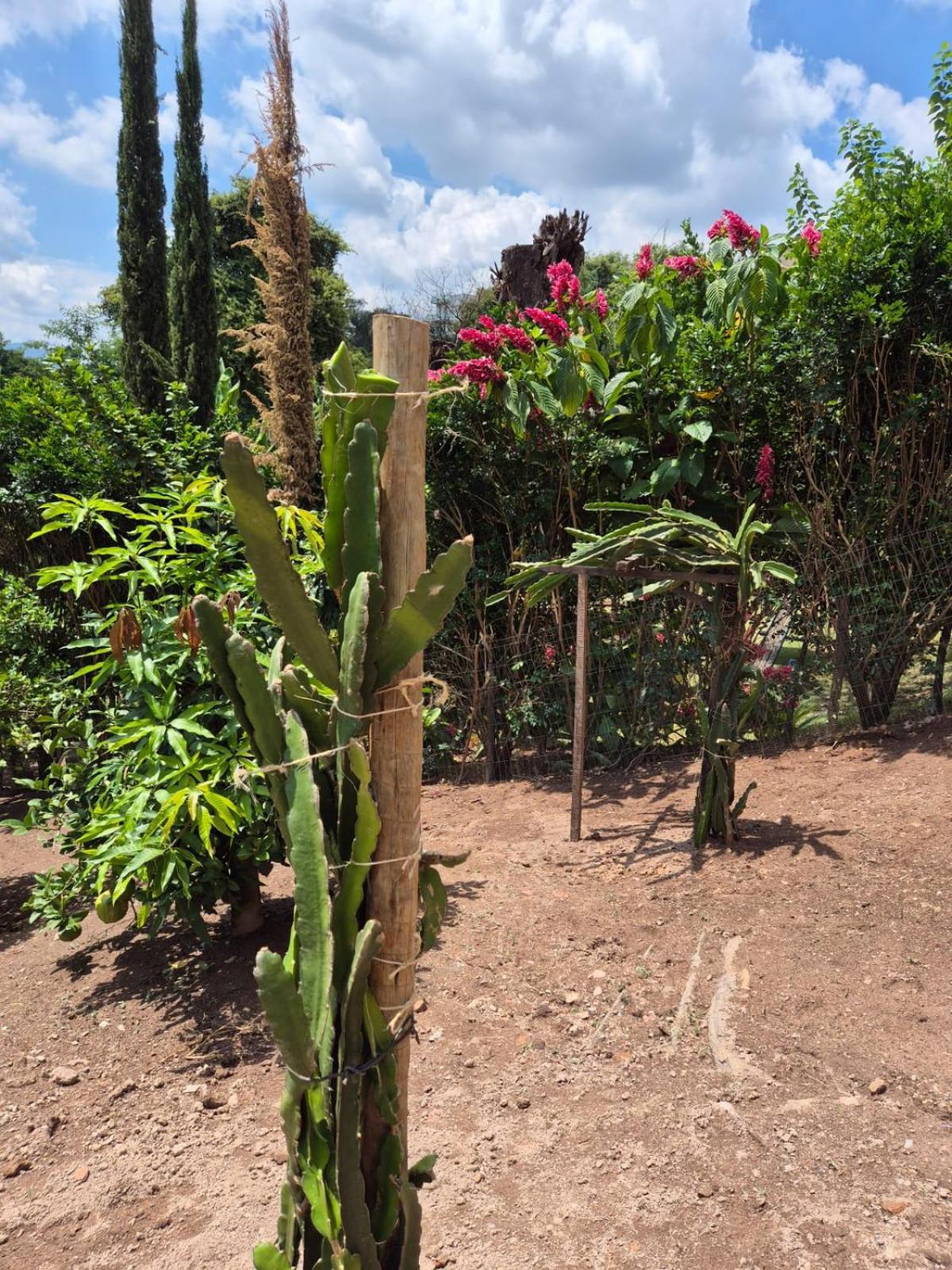 Estalagem Verde Villas Brumadinho